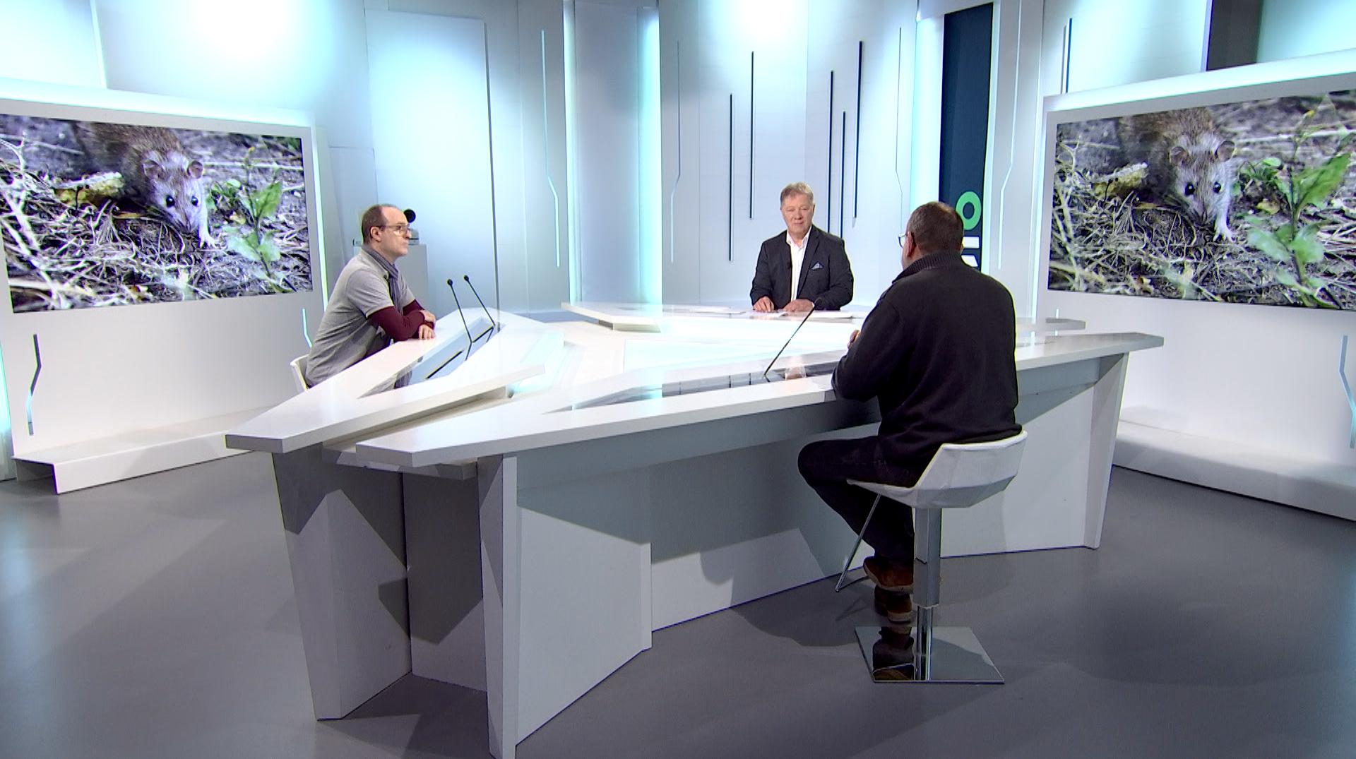 Le + de l'info : Quelle lutte contre les rats et autres nuisibles ?