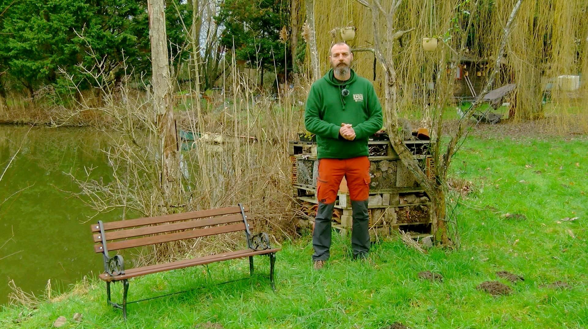 Petits pois et pois de senteur : floraisons précoces, graines voyageuses et alternatives au gazon