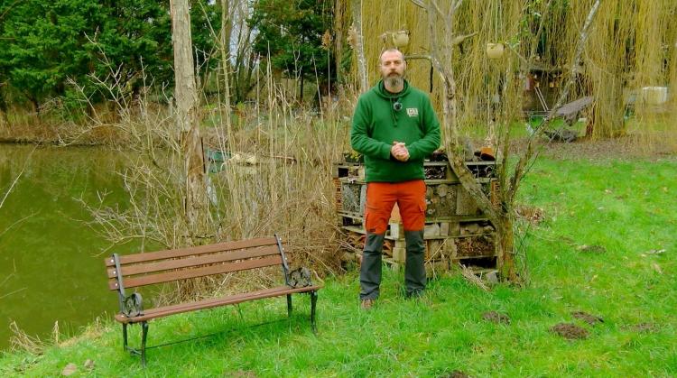 Petits pois et pois de senteur : floraisons précoces, graines voyageuses et alternatives au gazon