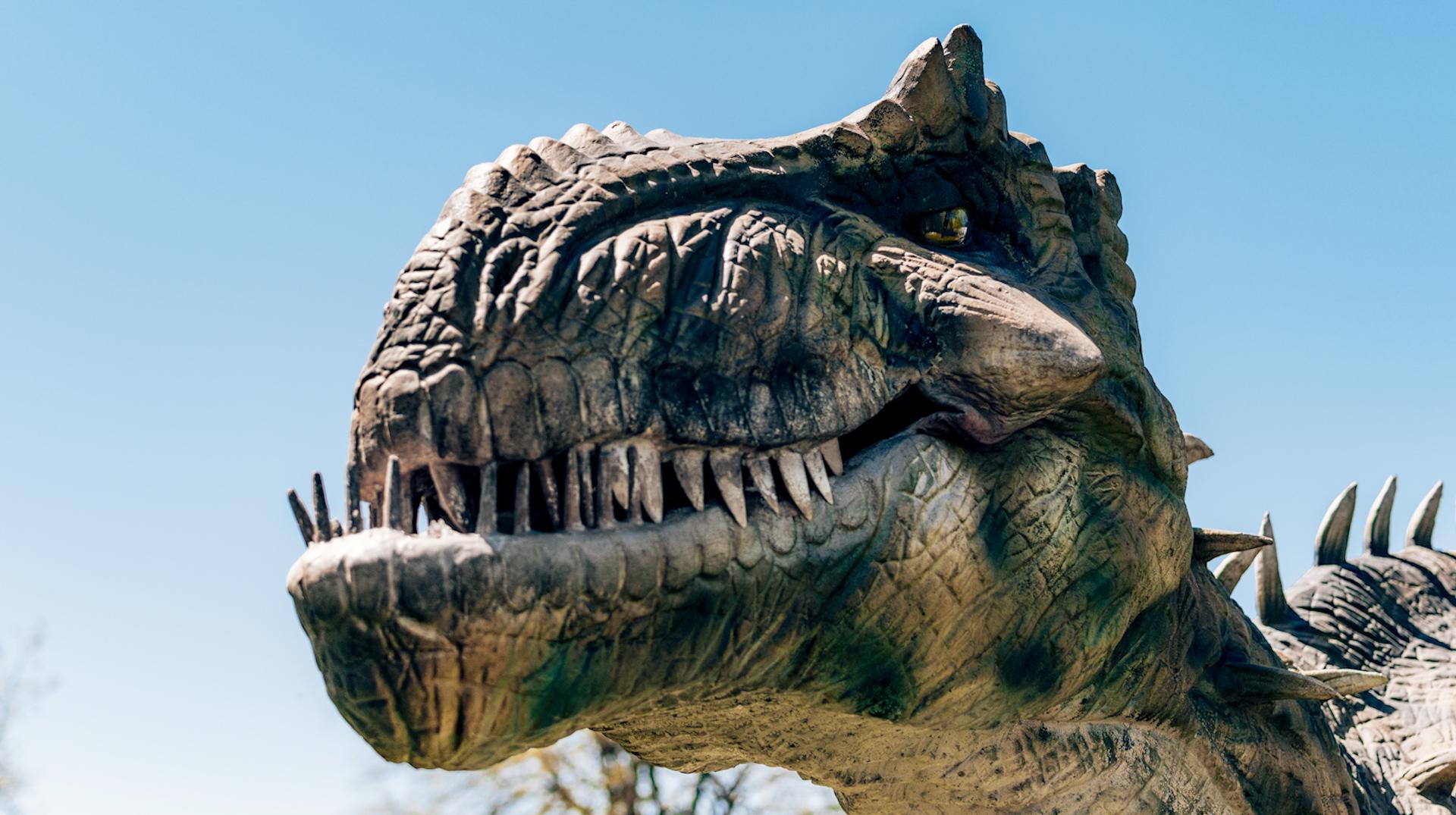 Tournai Expo : l’exposition des dinosaures annulée, des remboursements sont possibles