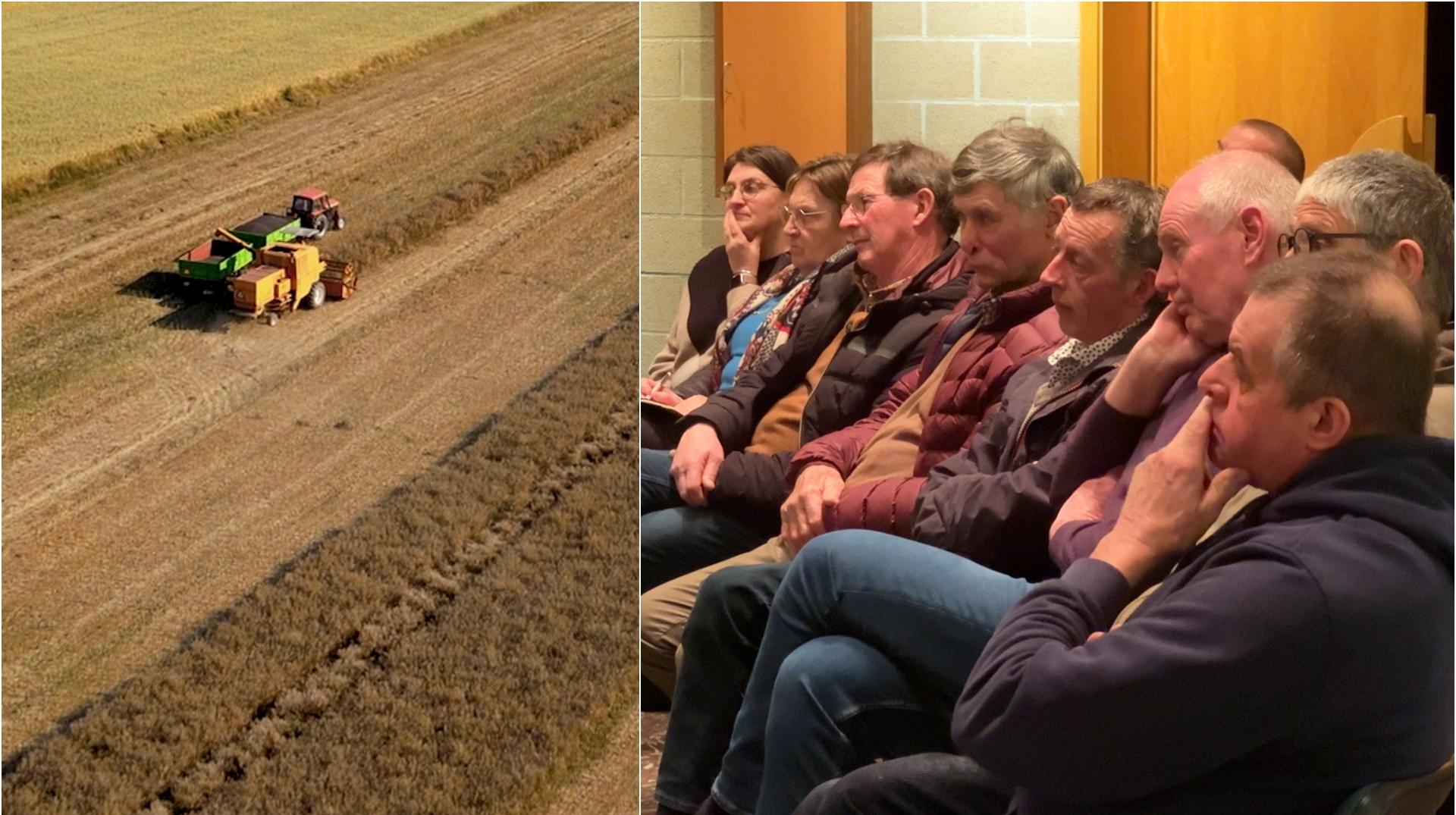 Pecq : la commune met en vente 42 parcelles agricoles