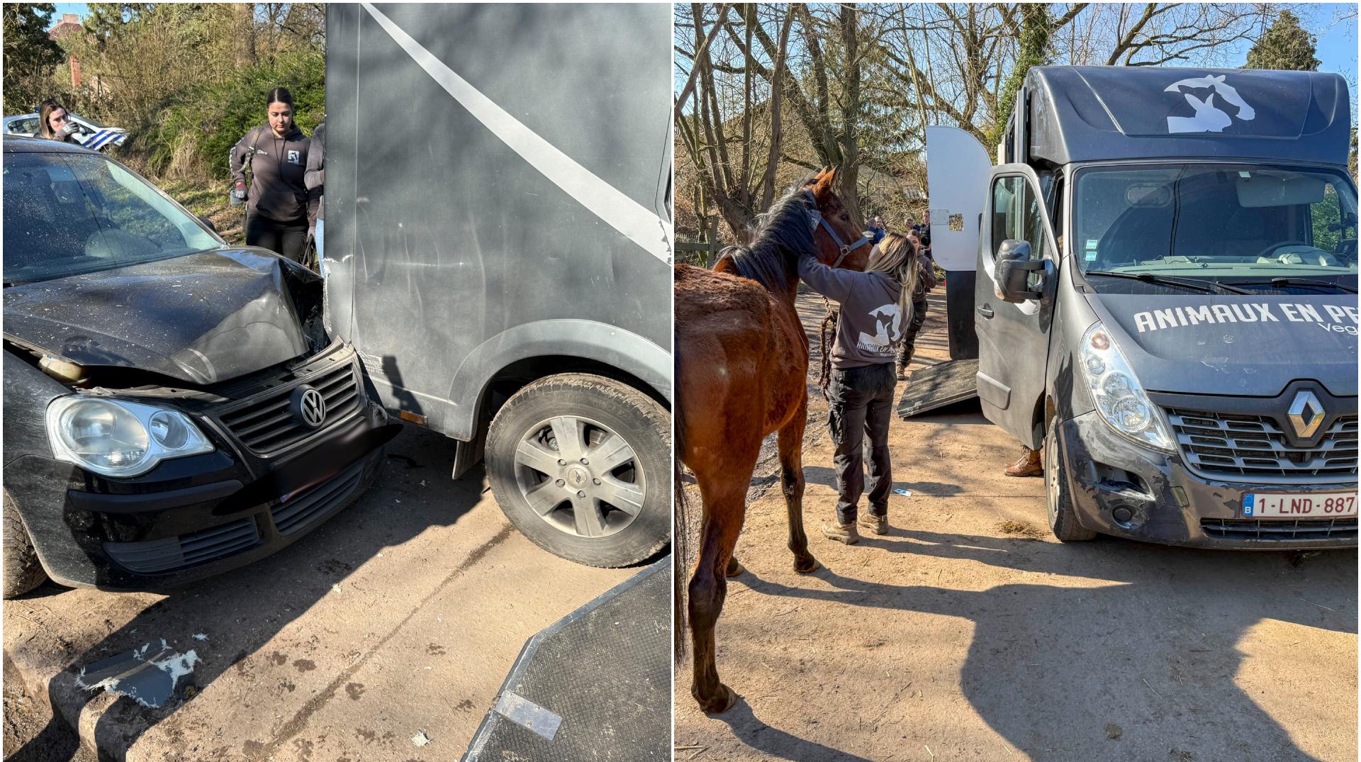 Une voiture fonce sur une soigneuse d'Animaux en péril lors d'une intervention à Pont-à-Celles