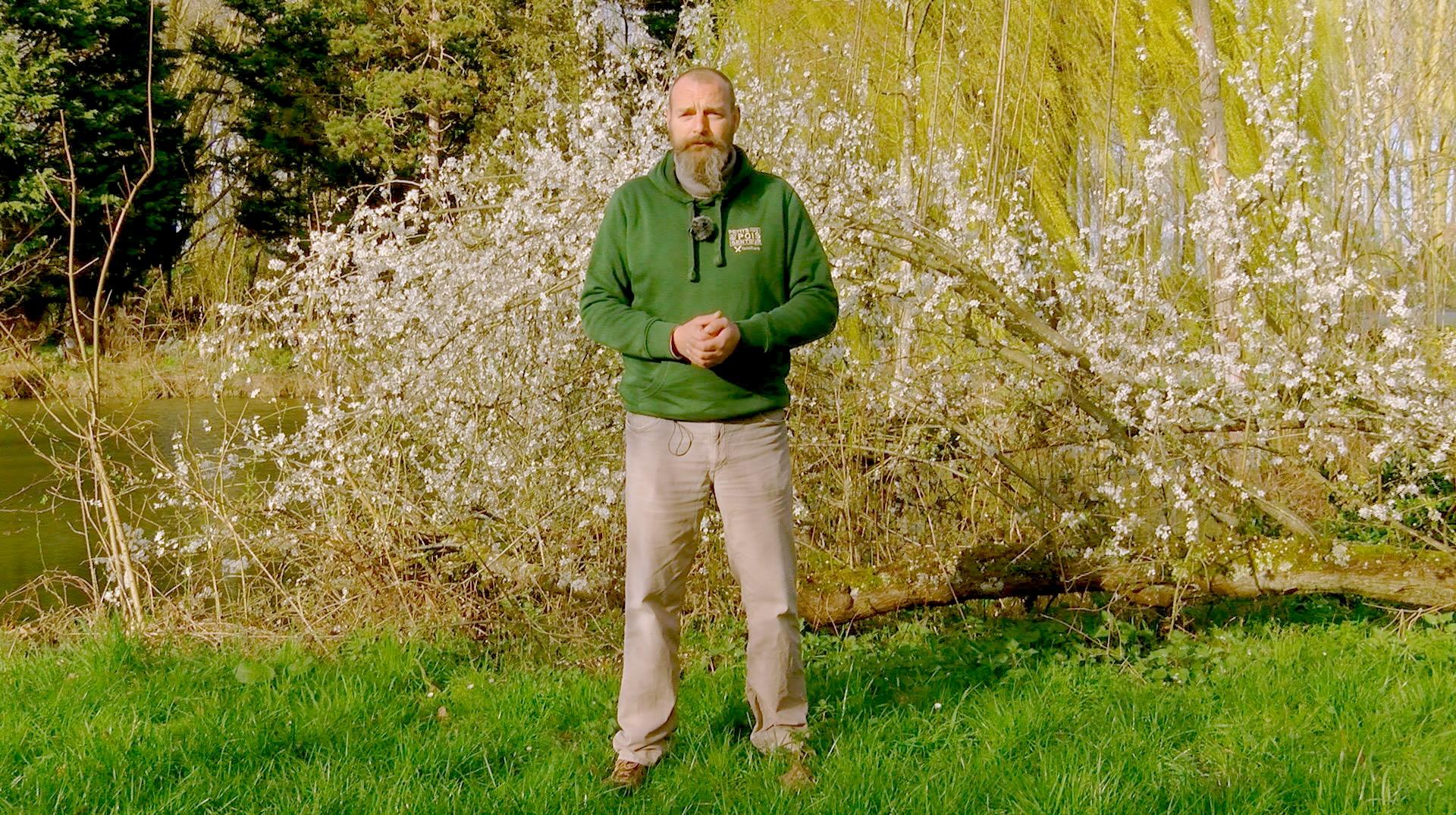 Petits pois et pois de senteur: tailles utiles et plantes de caractère