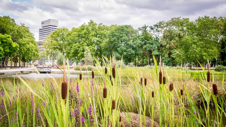 Le + de l'info: canicules, inondations, santé: comment nos villes s'adaptent ?
