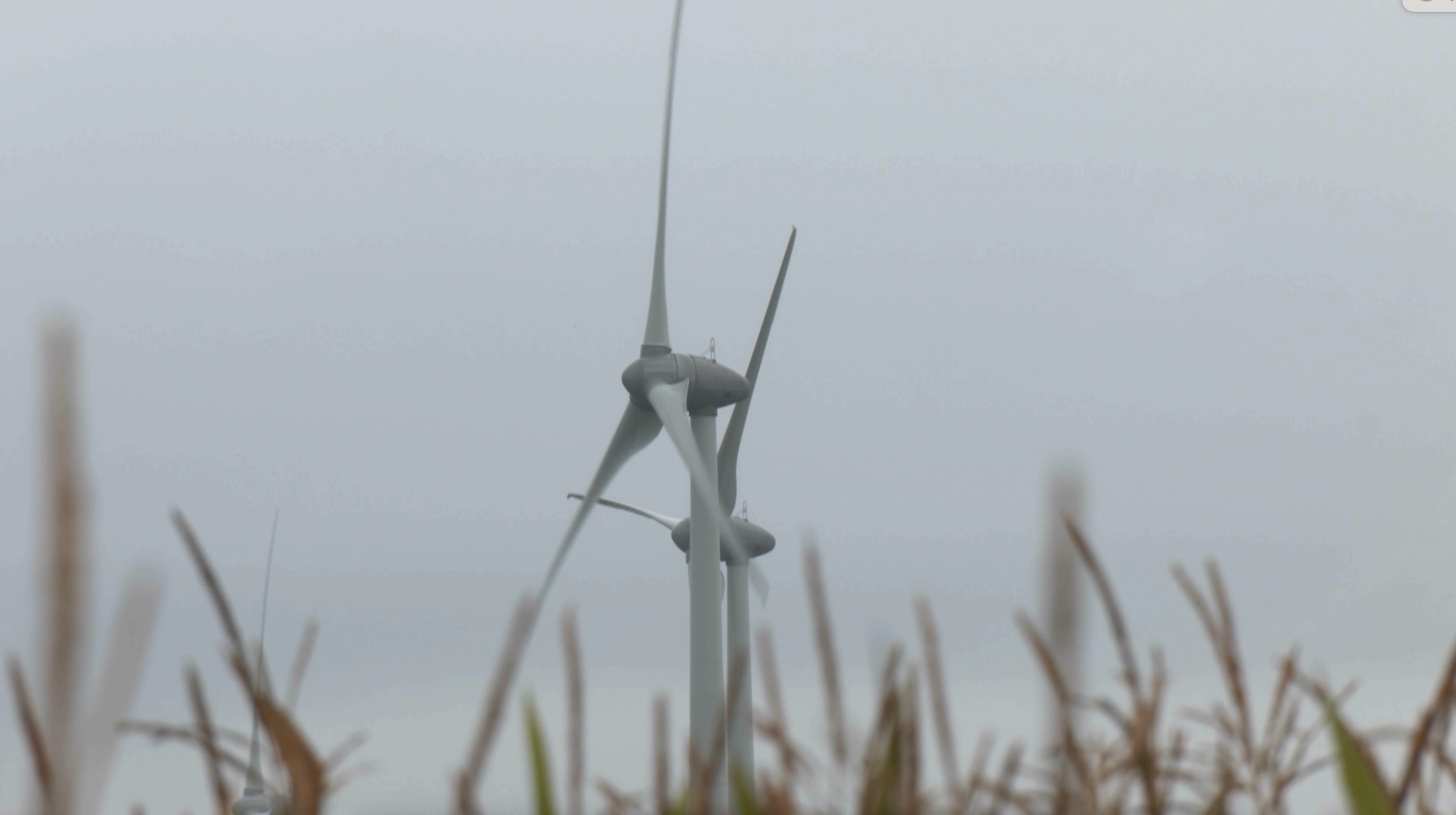 Brunehaut : les voitures électriques pourront bientôt se charger grâce à l'énergie d'une éolienne