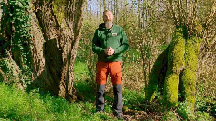 Petits pois et pois de senteur : Primevères, to-do list d'avril et reconnaître thuya ou cyprès ?