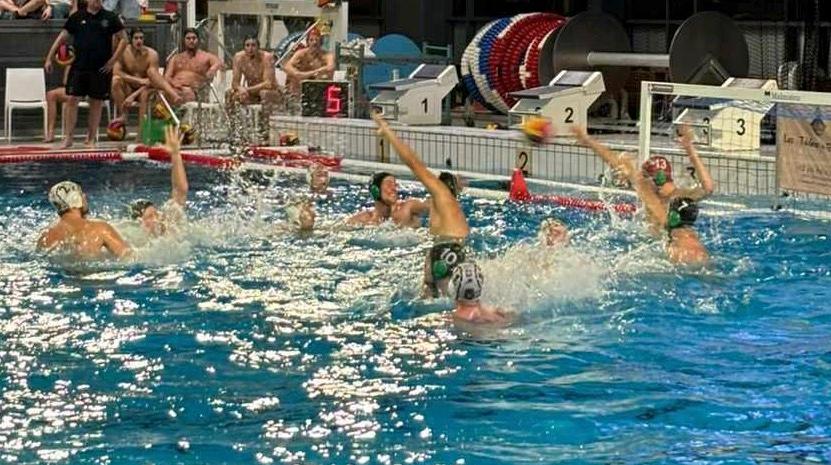 Water-polo: victorieux de Malines, les Dauphins Mouscronnois maintiennent la pression sur La Louvière avant le début des playoffs