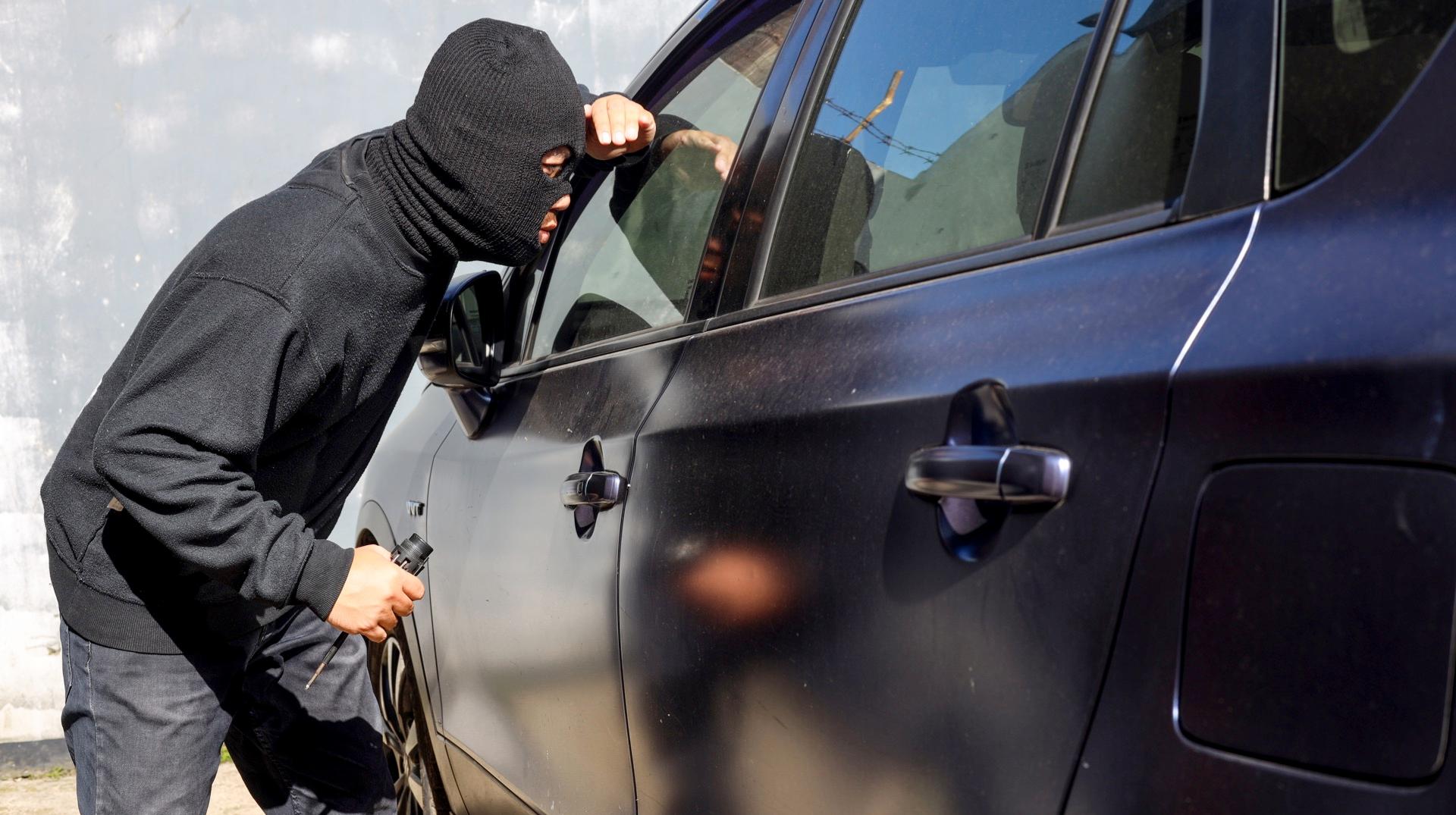 La zone de police Sylle et Dendre interpelle un suspect en flagrant délit de vol