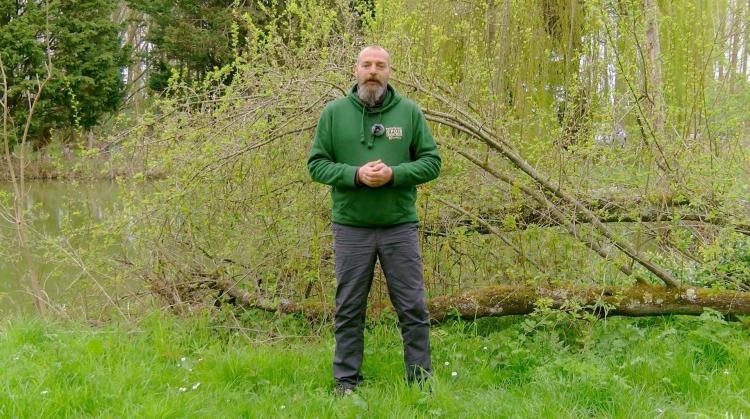 Petits pois et pois de senteur : Loropetalum, pissenlits et céleris à côte trop petits en question