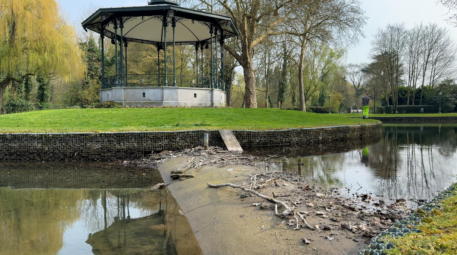 Fuite dans l’étang du parc communal de Péruwelz : la plupart des poissons évacués ce jeudi