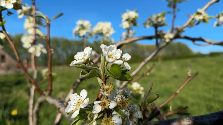 Ma Ferme à Enghien émet 1900 nouvelles parts pour lancer son projet de pressoir à fruits