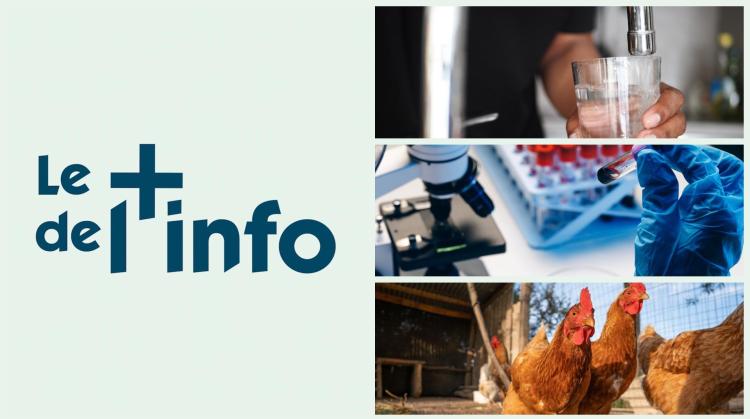 Le + de l'info sur la pollution de l'eau de distribution aux PFAS : le biomonitoring et après ?