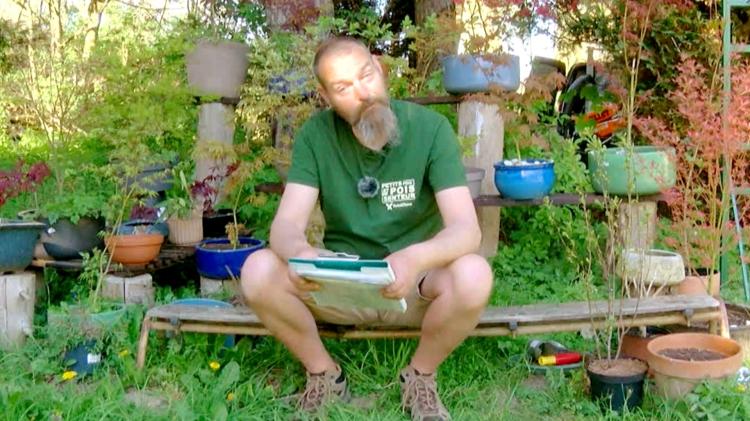 Petits pois et pois de senteur : Aglaonema, graines germées et semis de courge