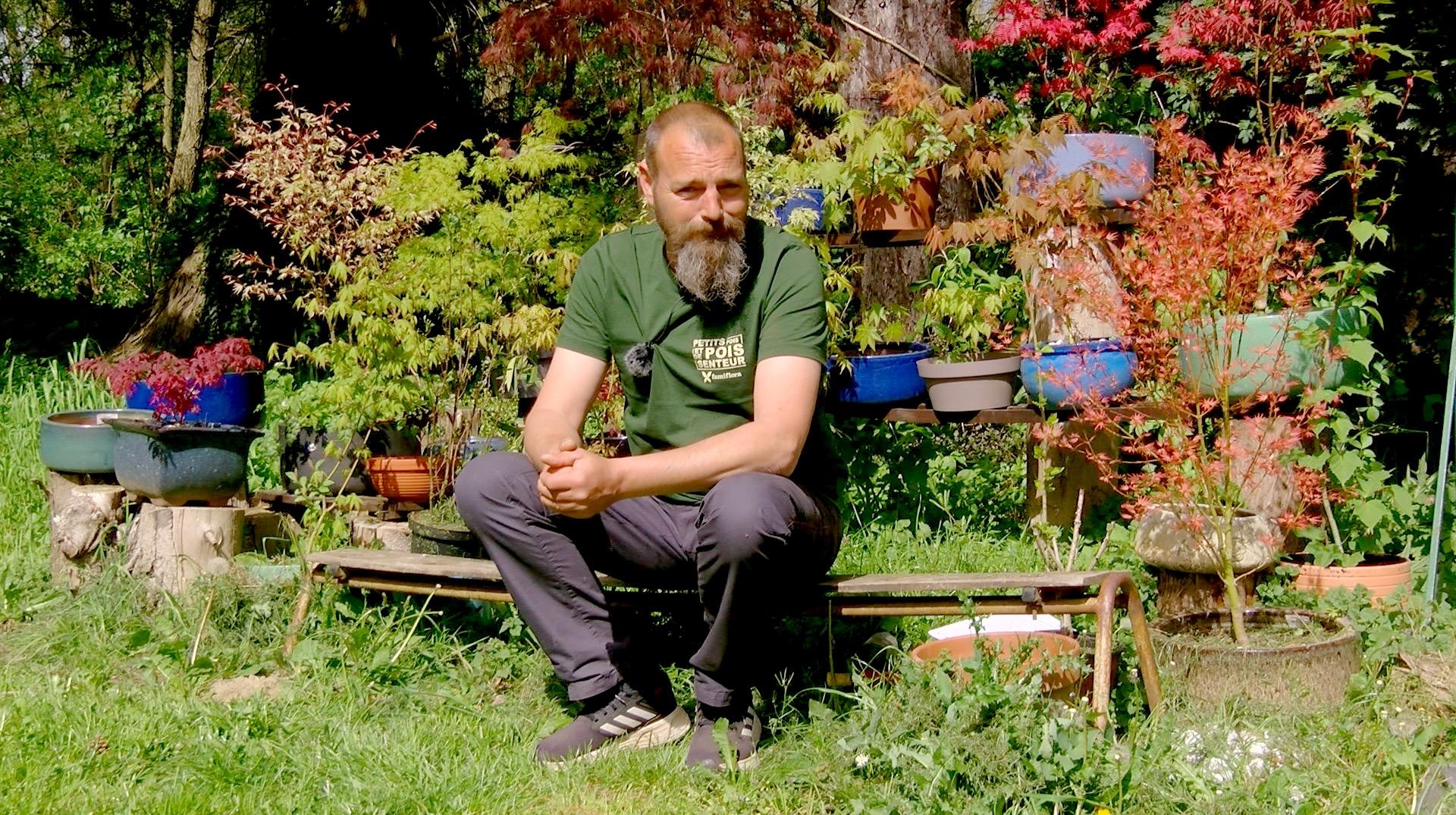 Petits pois et pois de senteur : Delosperma echinatum, travaux de mai et ganoderme sur un saule