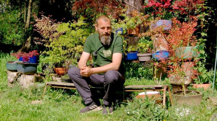 Petits pois et pois de senteur : Delosperma echinatum, travaux de mai et ganoderme sur un saule