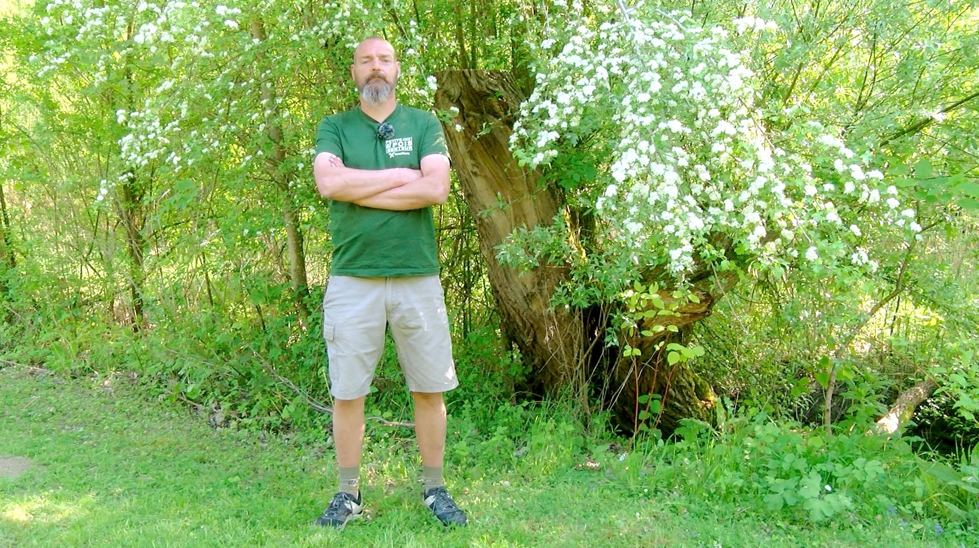 Petits pois et pois de senteur : Muguet, taille des tomates et éléagnus en difficulté