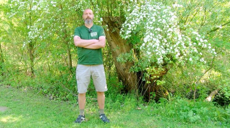 Petits pois et pois de senteur : Muguet, taille des tomates et éléagnus en difficulté
