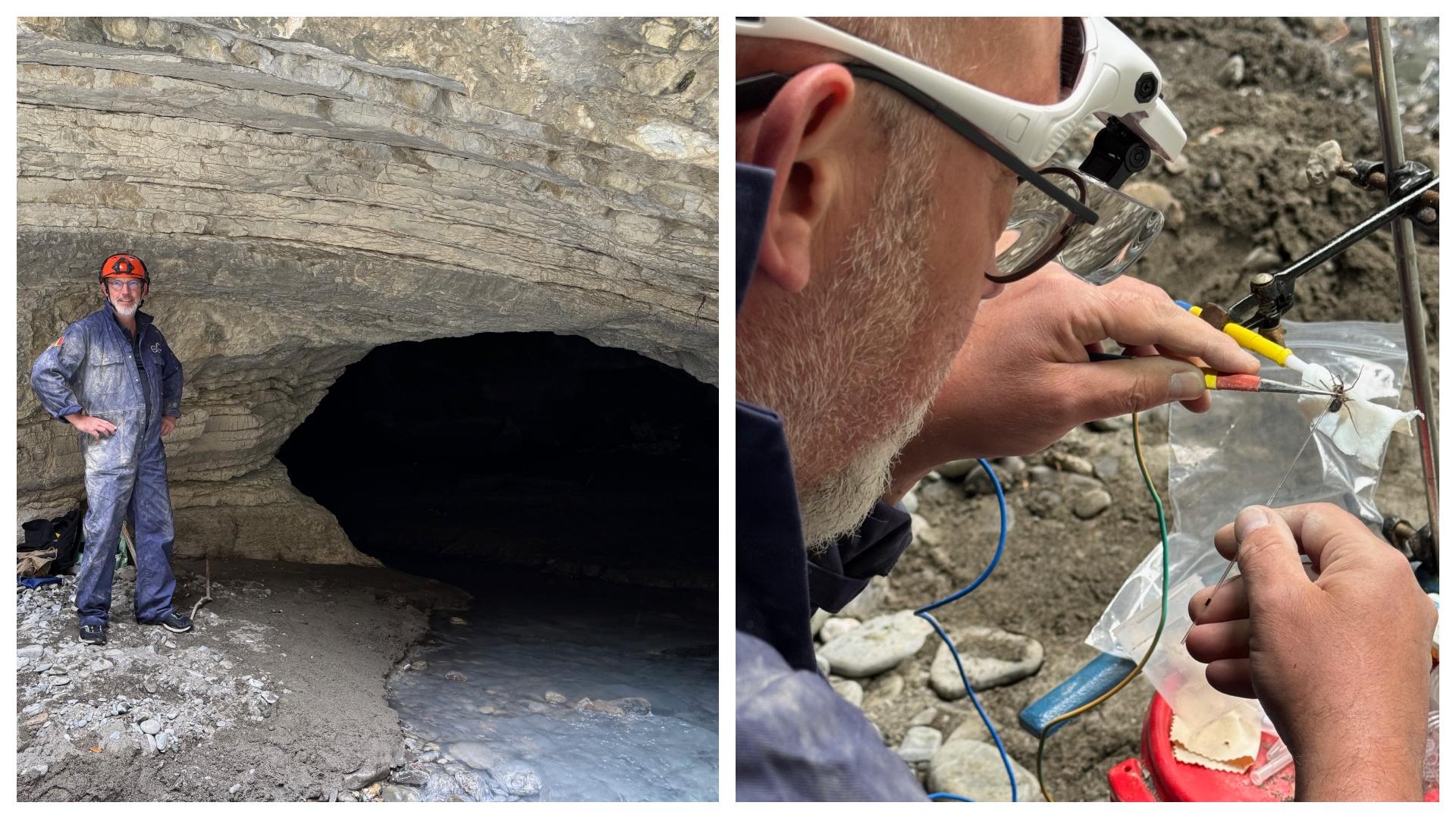 Un Montroeulois participe à une mission scientifique sur la plus grande toile d'araignées du monde