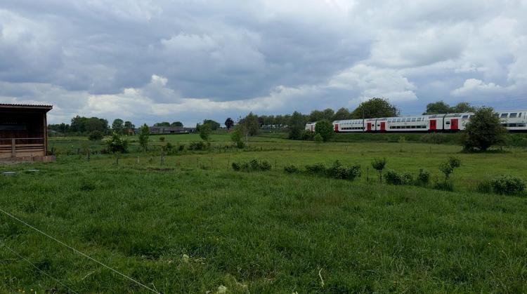 Pipaix : la Chèvrerie bio s'inquiète d'un projet de pont sur ses terres