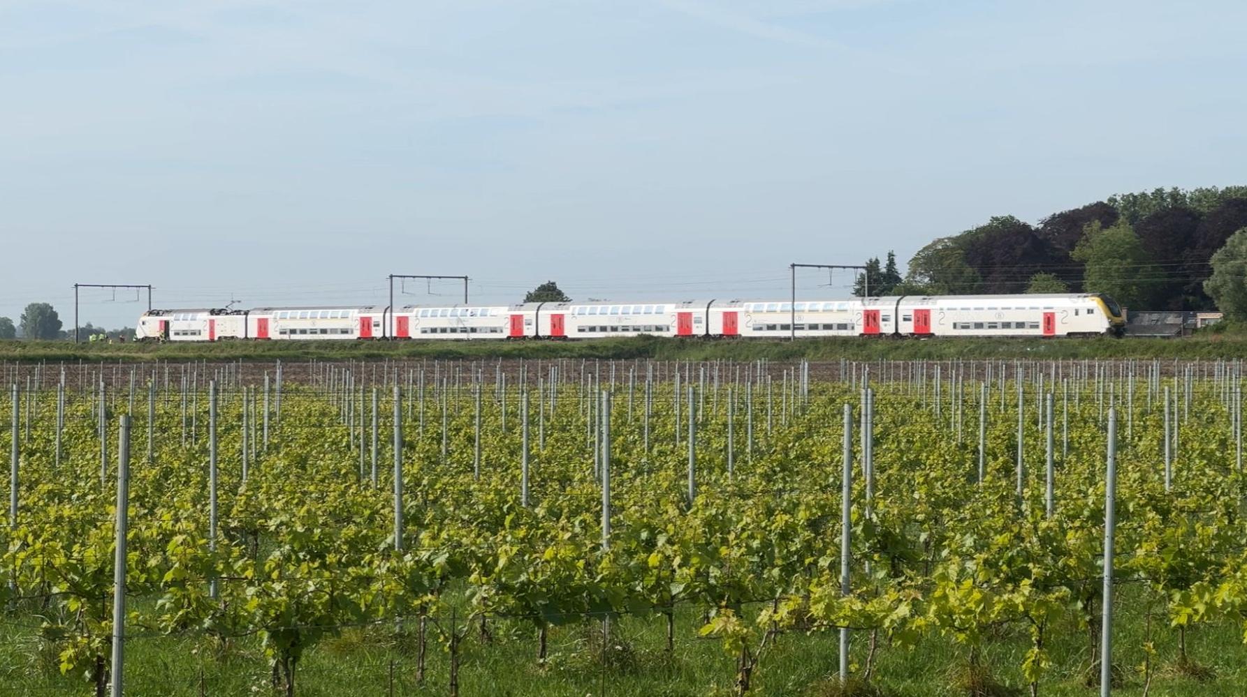 Leers-Nord : circulation des trains interrompue entre Tournai et Mouscron suite à une collision avec une voiture