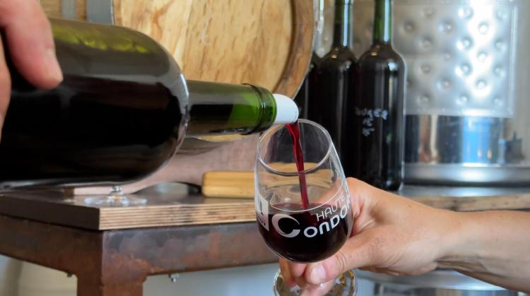La Haute École Condorcet à Ath forment les futurs vignerons à travers son bachelier agronome