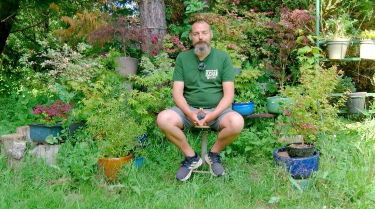 Petits pois et pois de senteur : célosias, cochenilles et égopode podagraire envahissant