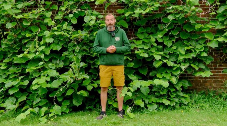 Petits pois et pois de senteur : Pistacias, plantes noires et roquette