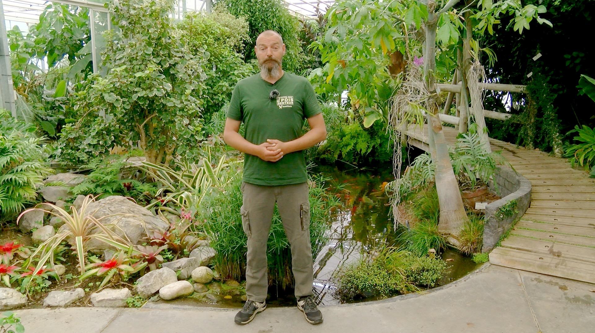 Petits pois et pois de senteur : Haricots, lantanas et menthe en question