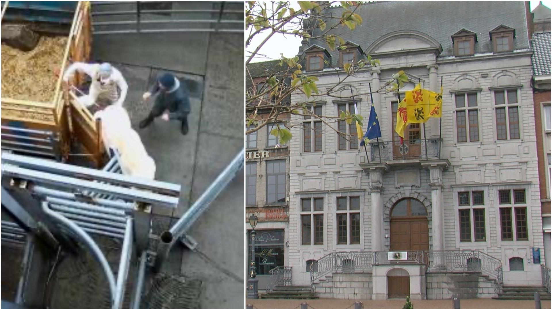Dénonciation de maltraitance animale à l'abattoir d'Ath : la ville entend faire valoir un droit à l’information pendant le processus d’investigation