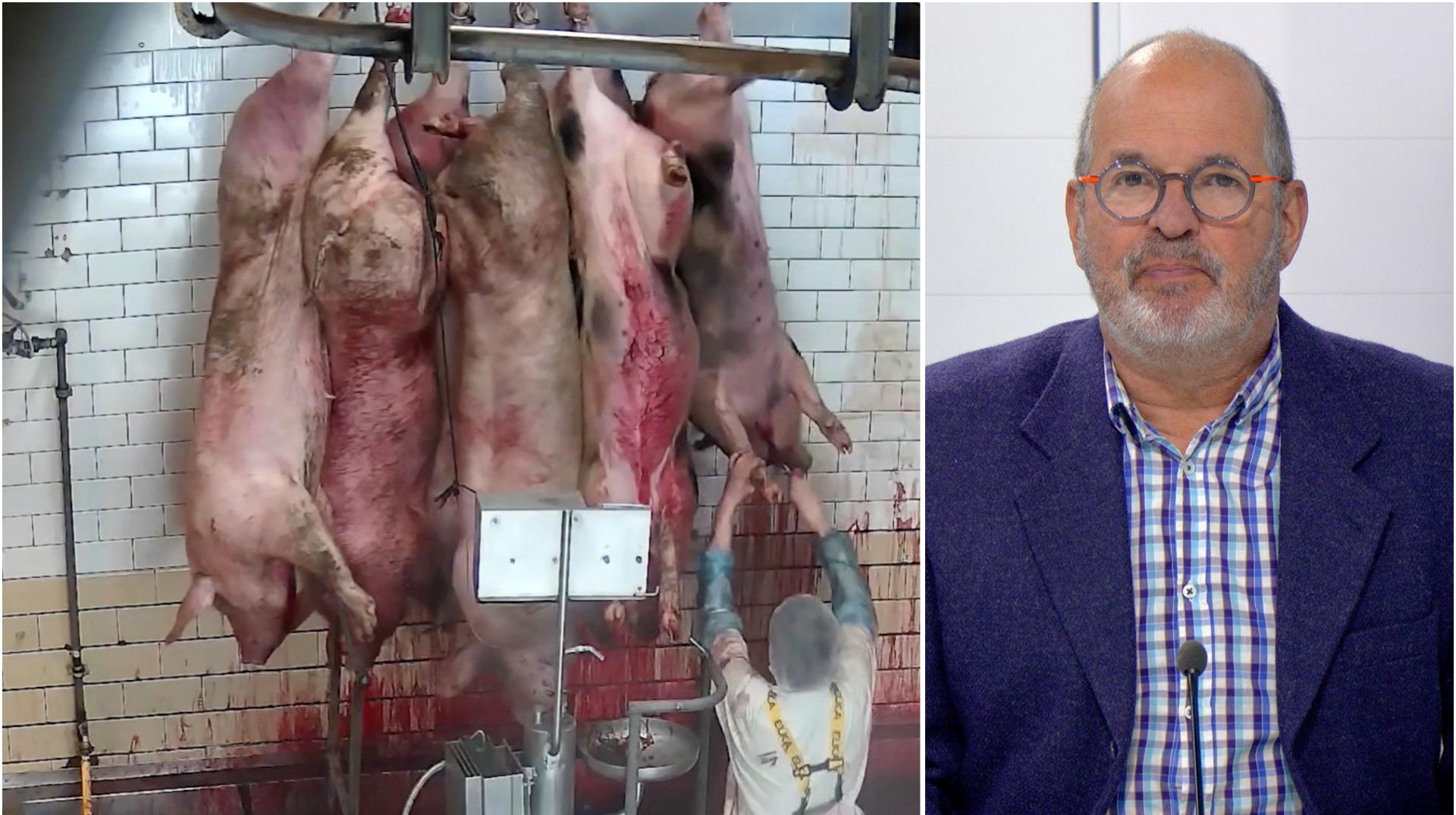L'édito de la rédaction : scandale à l'abattoir