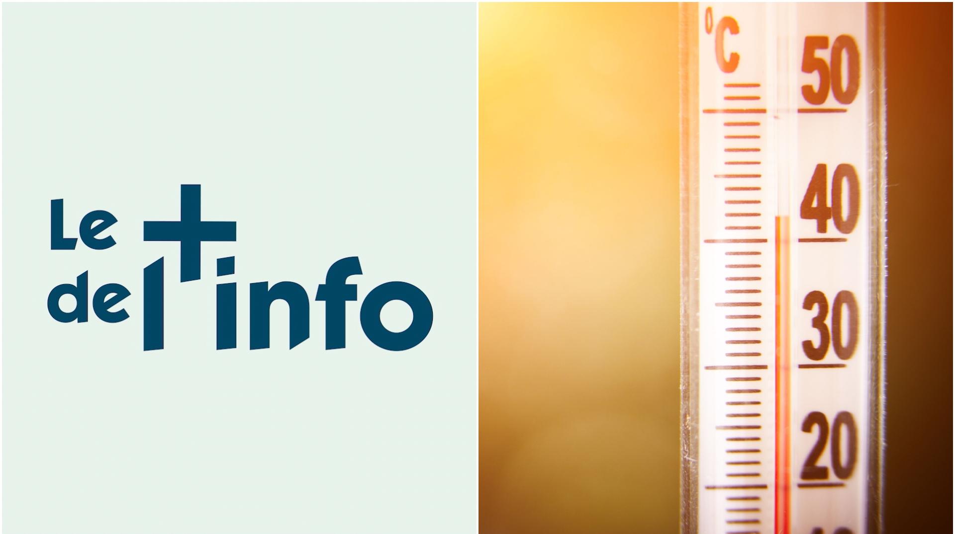 Le + de l'info sur la canicule : faut-il un plan national fraîcheur ?