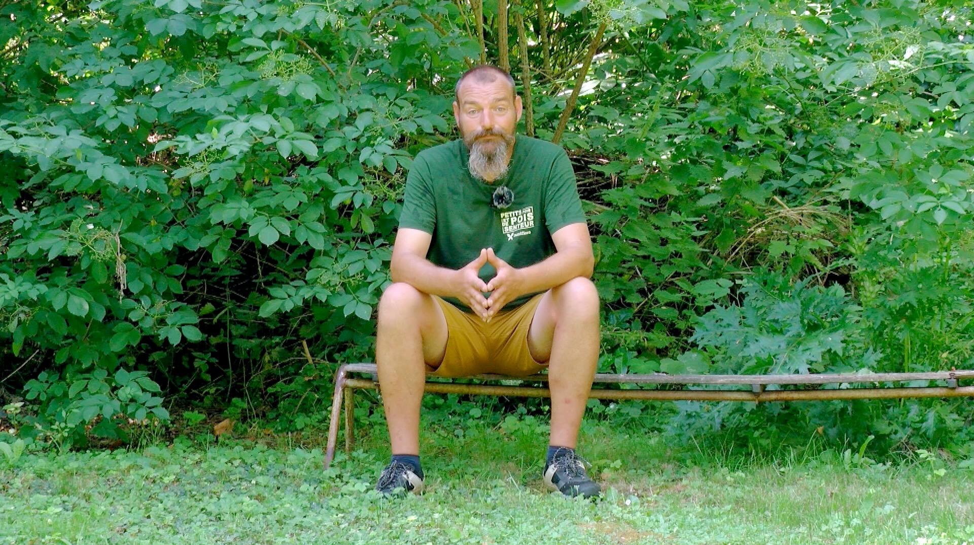 Petits pois et pois de senteur : Coreopsis et pommier sous surveillance