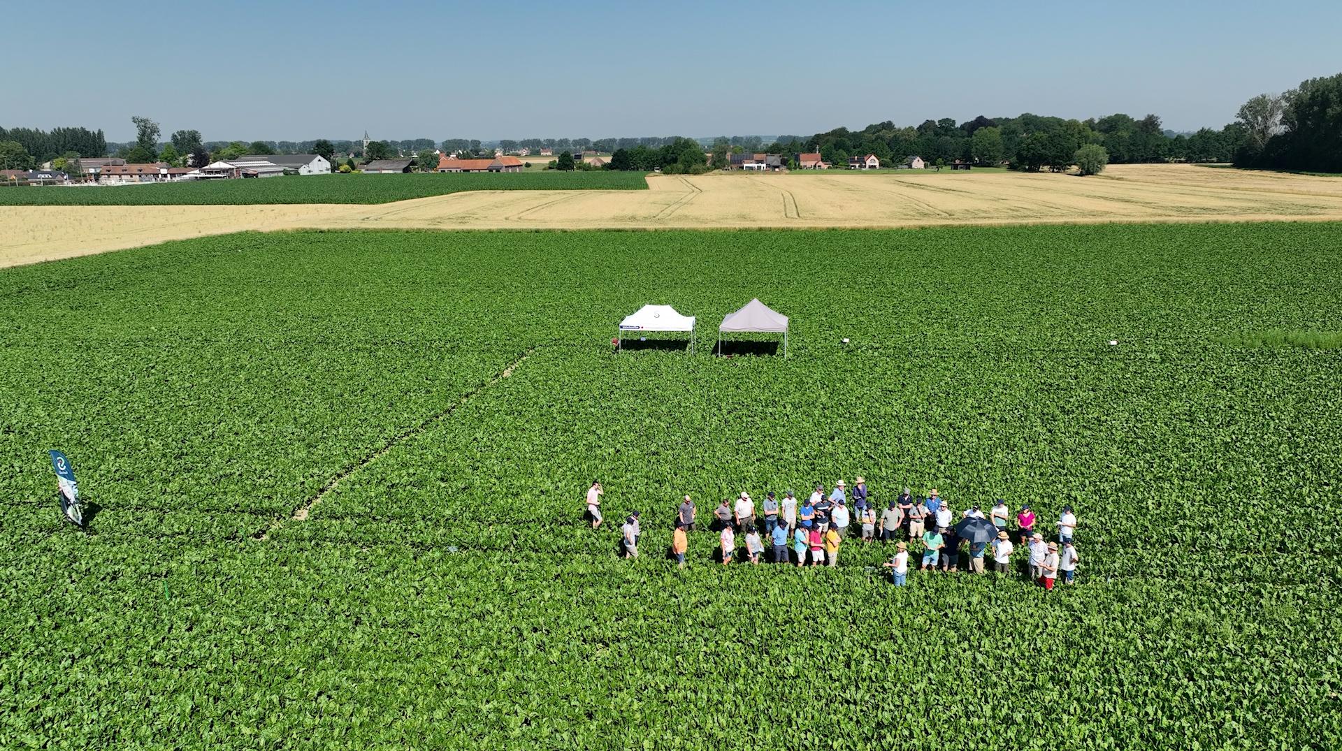Agro-industrie : Iscal et Cosucra tissent des liens avec leurs planteurs