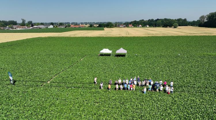 Agro-industrie : Iscal et Cosucra tissent des liens avec leurs planteurs