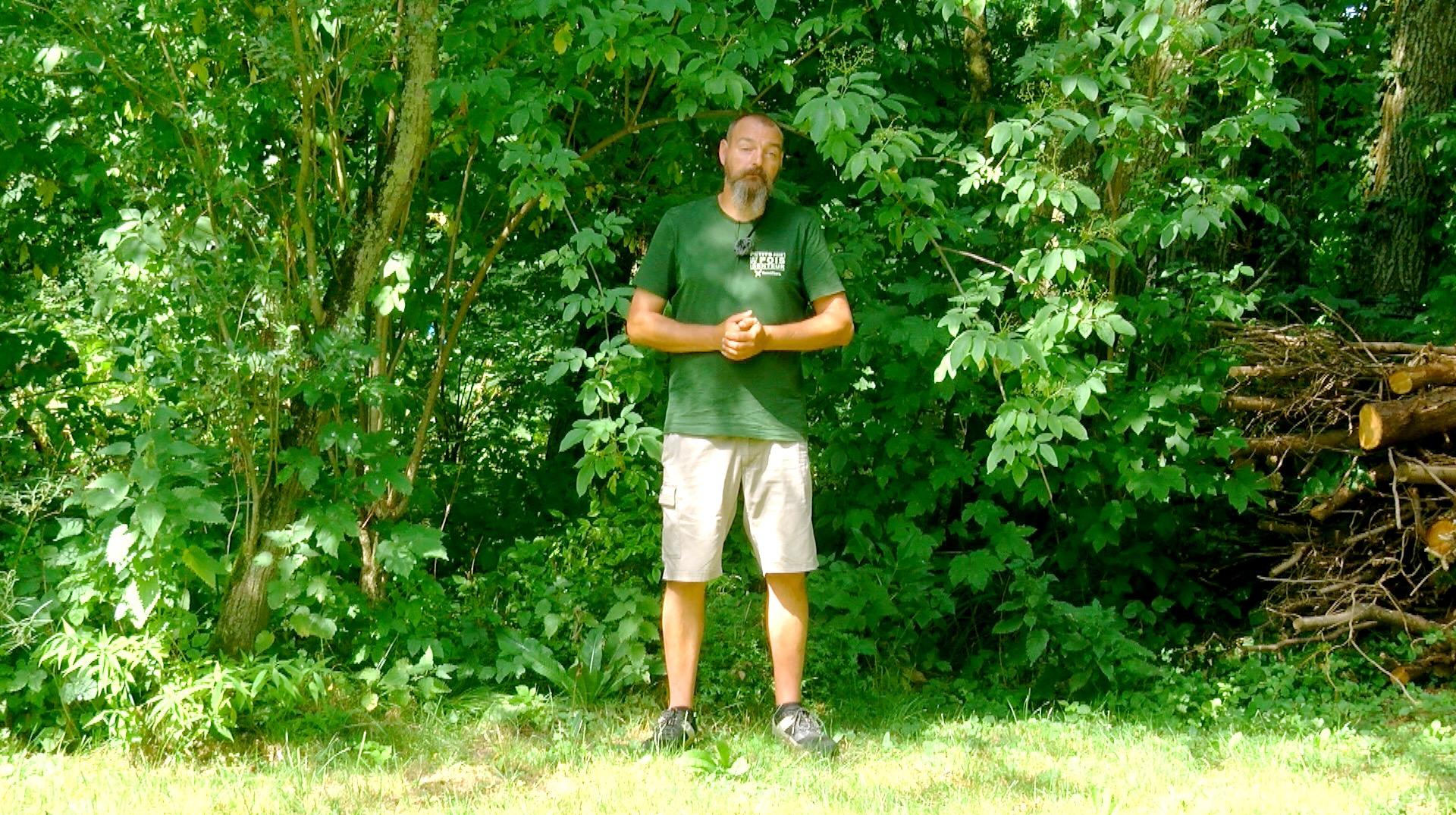 Petits pois et pois de senteur : L'ombre au jardin et châtaignier en question