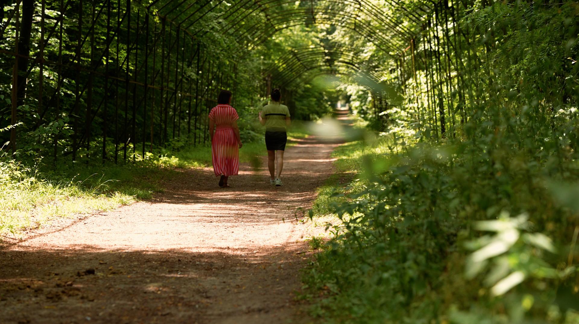 Hauts Détour : entre forêt et histoire à Compiègne
