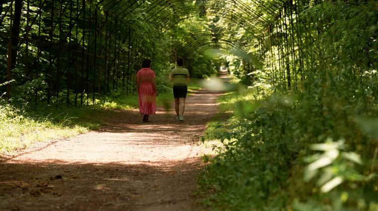 Hauts Détour : entre forêt et histoire à Compiègne