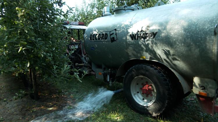 Quand la sécheresse réduit la récolte des fruits de plus de 30 %