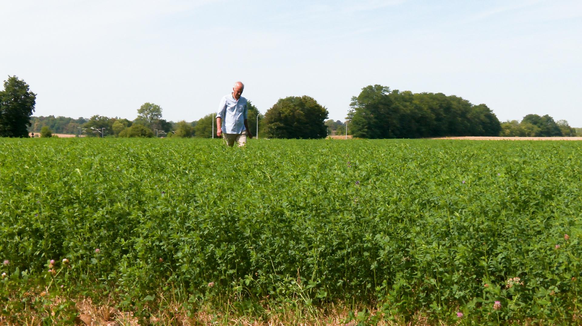 Comment certains agriculteurs adaptent-ils leurs pratiques pour mieux résister au manque d'eau ?