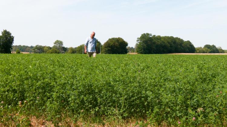 Comment certains agriculteurs adaptent-ils leurs pratiques pour mieux résister au manque d'eau ?