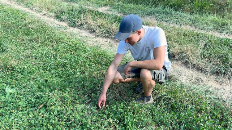 Adaptation climatique : jusqu'où les agriculteurs peuvent-ils agir ?