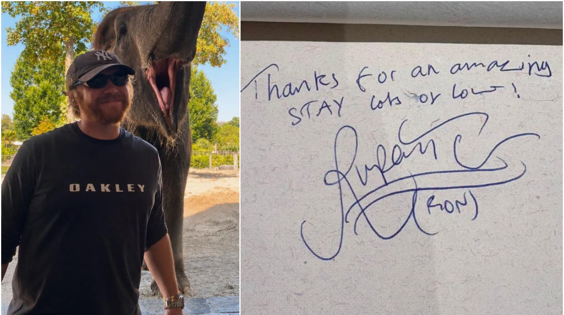 Rupert Grint, l’inoubliable Ron Weasley, en visite à Pairi Daiza