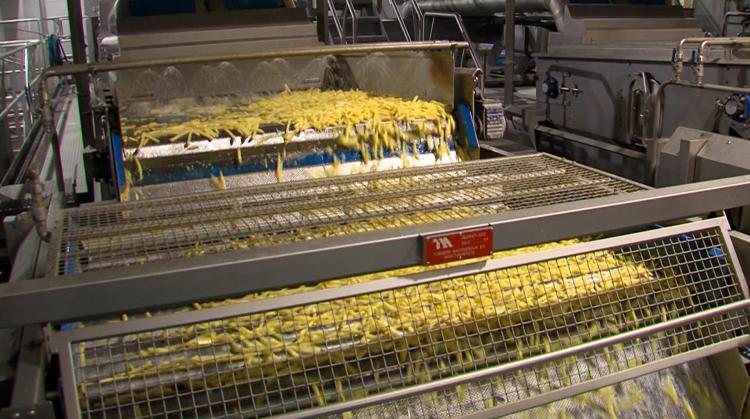 Restructuration annoncée chez Clarebout : trop de frites, trop d'usines ?