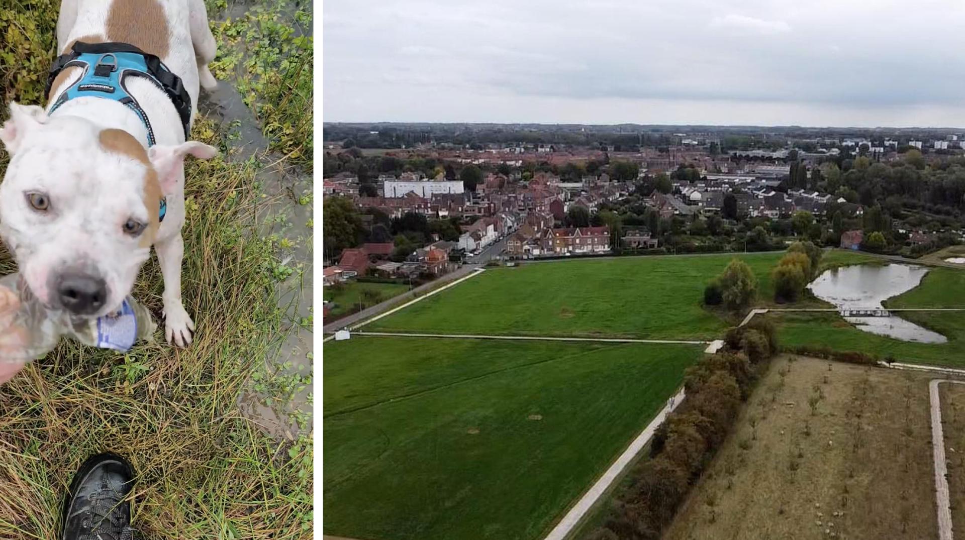Au Bizet, quatre jours suffisent pour salir le nouveau parc… un chien se charge du nettoyage