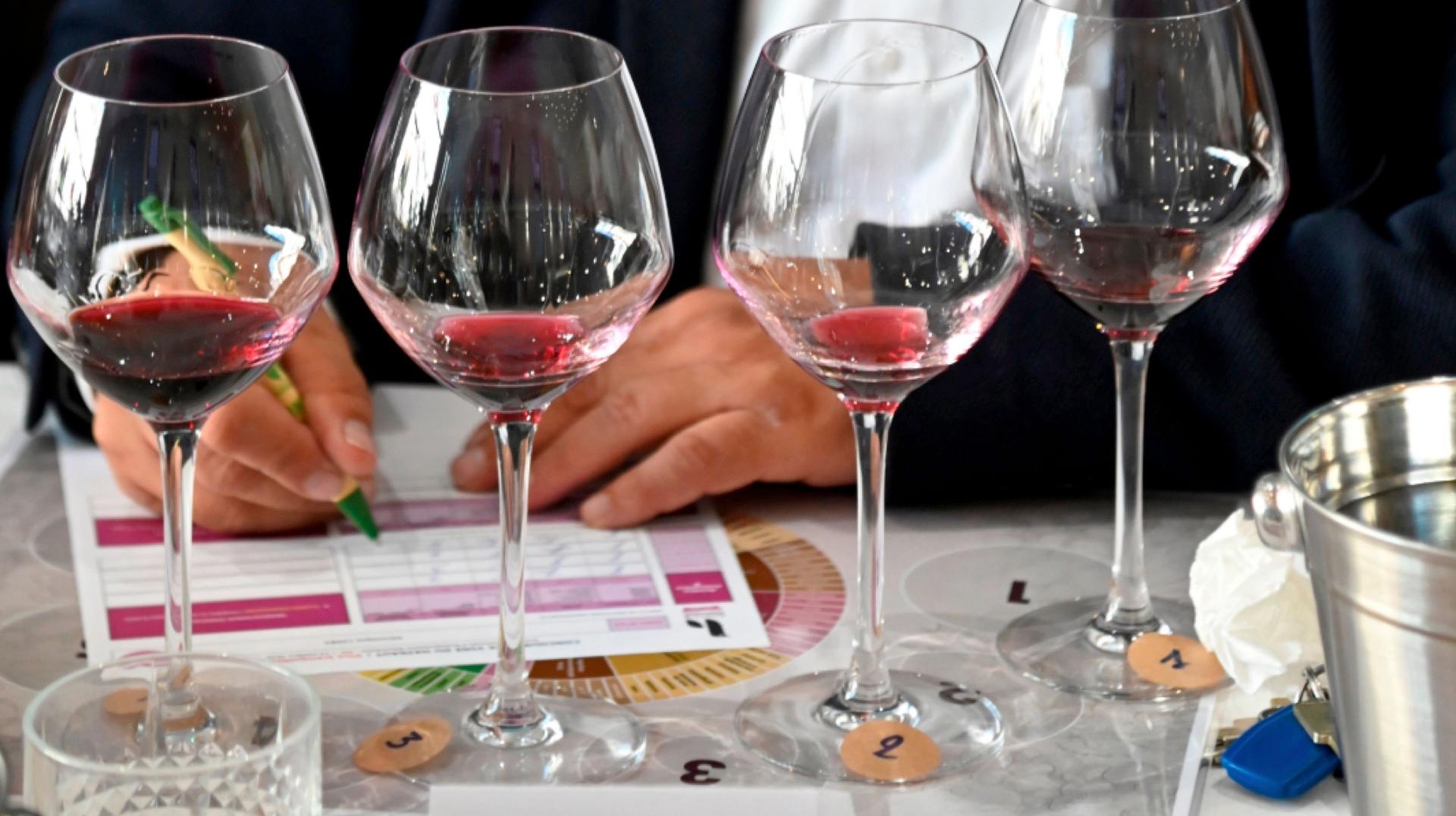 Les vins de Wallonie picarde à l'honneur au premier concours des meilleurs vins du Hainaut