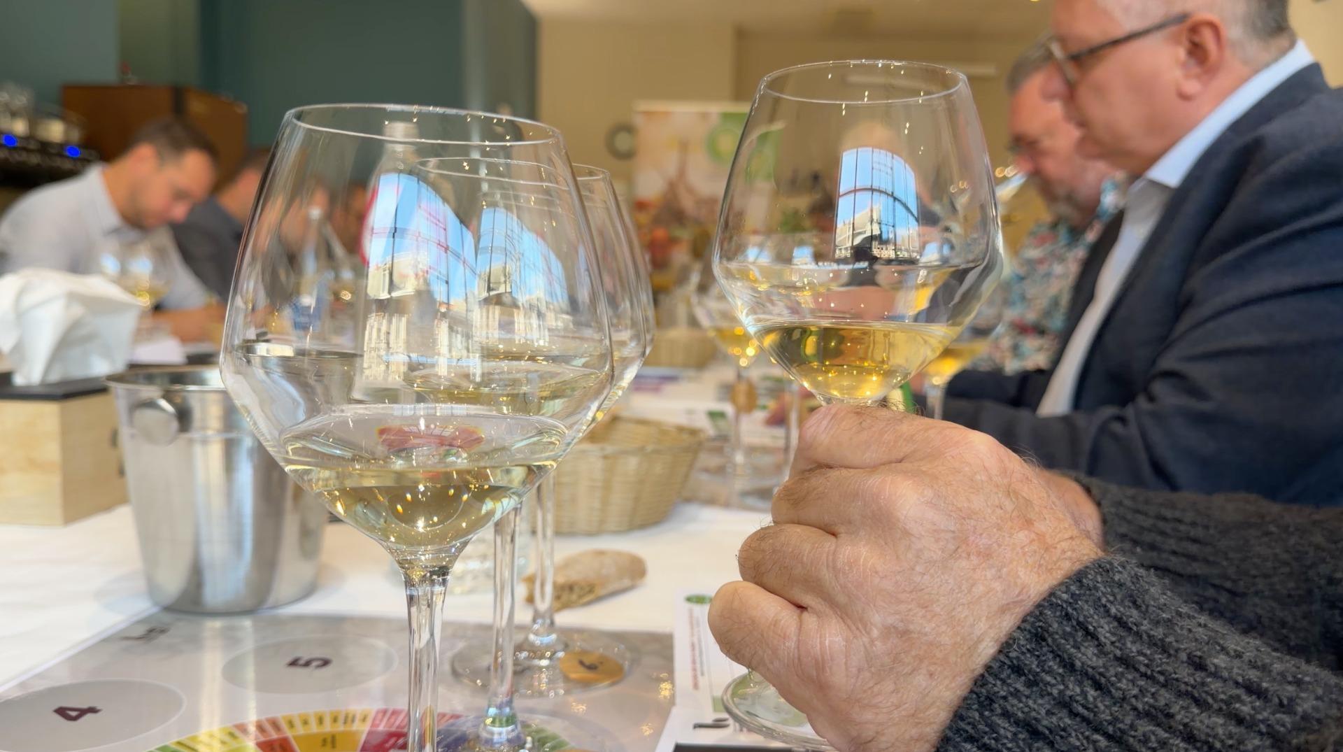 Les viticulteurs de Wapi s'illustrent au concours provincial