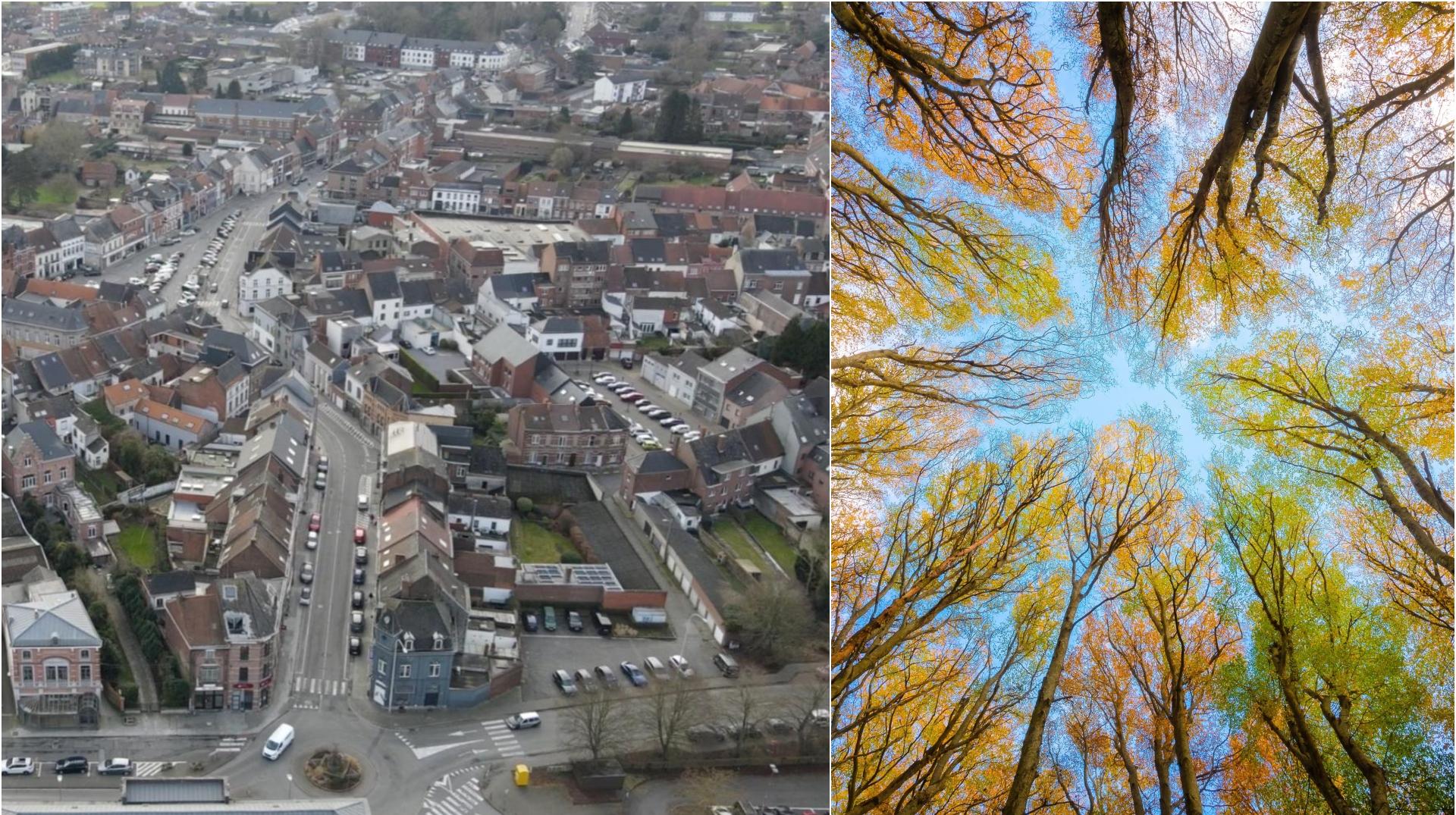 Leuze-en-Hainaut va se doter d’un plan Canopée