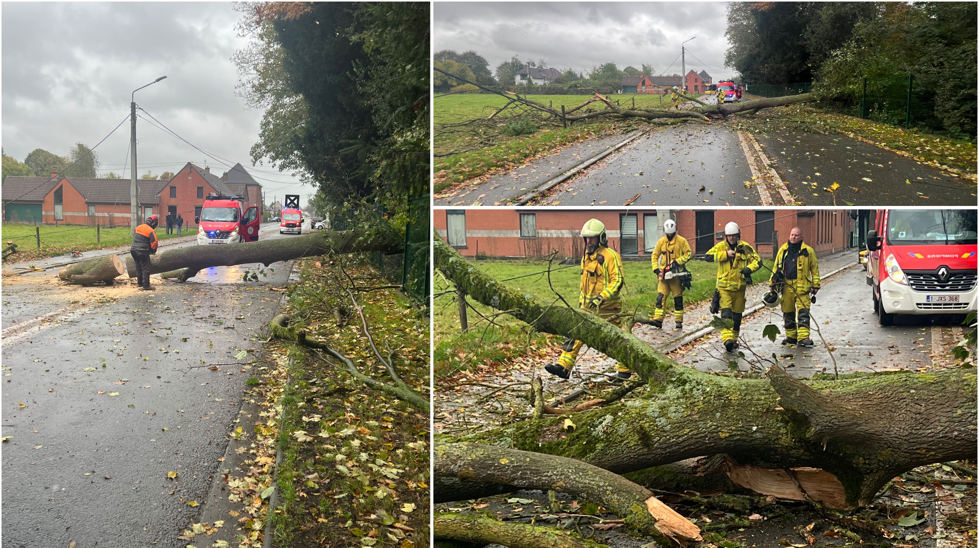 Pecq : un arbre du domaine de Bourgogne tombe sur la rue de Lannoy
