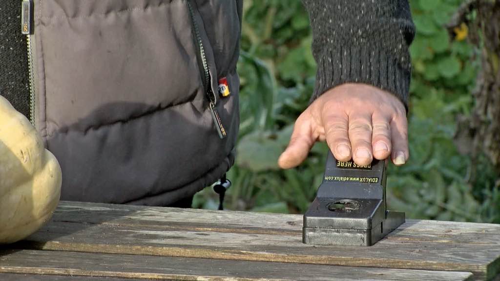 Voici comment faire fuir les rats de votre jardin