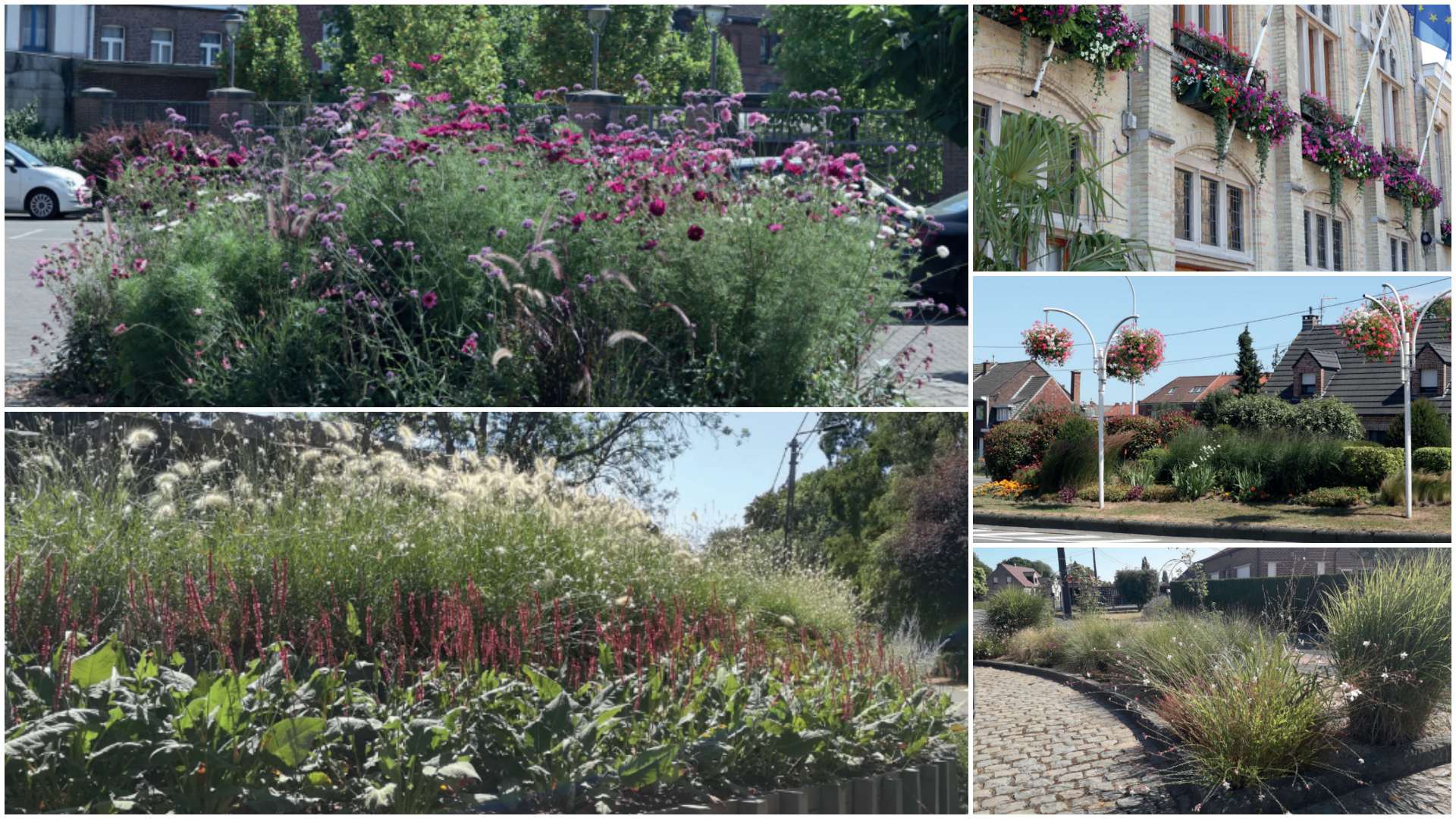 Concours «Wallonie en fleurs»: Ath et Tournai obtiennent »3 fleurs»